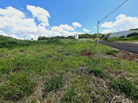 imagem 3 - Terreno de 256m² à venda - Bonfim Paulista imagem 3 - Terreno de 256m² à venda - Bonfim Paulista