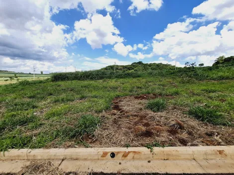 imagem 4 - Terreno de 256m² à venda - Bonfim Paulista imagem 4 - Terreno de 256m² à venda - Bonfim Paulista