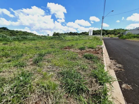 imagem 5 - Terreno de 256m² à venda - Bonfim Paulista imagem 5 - Terreno de 256m² à venda - Bonfim Paulista
