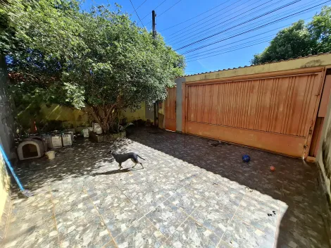 imagem 1 - Casa de 105m² com 02 quartos para locação e venda - Parque dos Pinus imagem 1 - Casa de 105m² com 02 quartos para locação e venda - Parque dos Pinus
