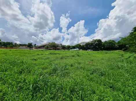 imagem 3 - Terreno de 2.007m² à venda em condomínio - Vila do Golf imagem 3 - Terreno de 2.007m² à venda em condomínio - Vila do Golf
