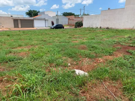imagem 1 - Terreno de 500m² à venda - Jardim Veneto II imagem 1 - Terreno de 500m² à venda - Jardim Veneto II