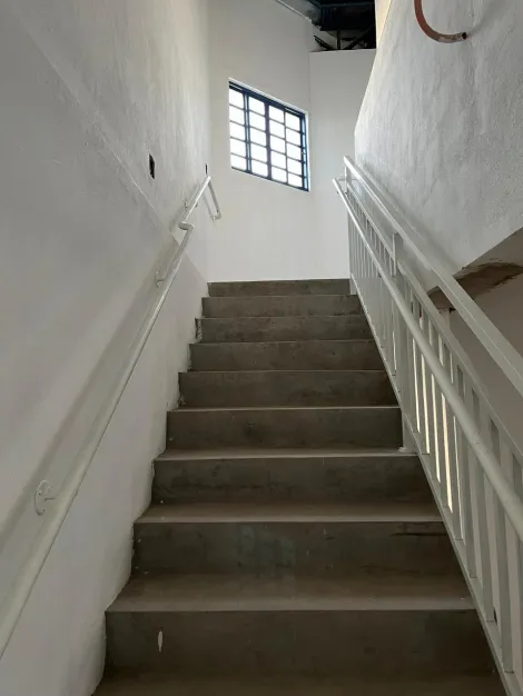 imagem 4 - Salão comercial de 279m² para locação - Jardim Doutor Paulo Gomes Romeo imagem 4 - Salão comercial de 279m² para locação - Jardim Doutor Paulo Gomes Romeo