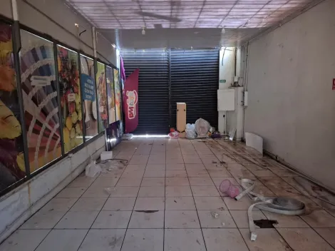 imagem 5 - Galpão de 815m² para locação - Ipiranga imagem 5 - Galpão de 815m² para locação - Ipiranga