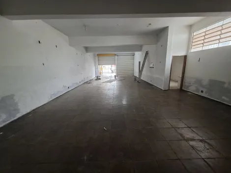 imagem 3 - Comercial padrão - Loja imagem 3 - Comercial padrão - Loja