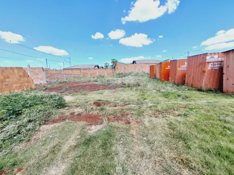 imagem 3 - Terreno de 260m² à venda - Cristo Redentor imagem 3 - Terreno de 260m² à venda - Cristo Redentor