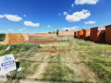 imagem 2 - Terreno de 260m² à venda - Cristo Redentor imagem 2 - Terreno de 260m² à venda - Cristo Redentor