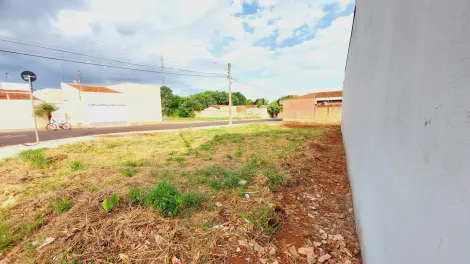 imagem 4 - Terreno de 200m² para venda - Jardim Santa Paula em Sertãozinho imagem 4 - Terreno de 200m² para venda - Jardim Santa Paula em Sertãozinho