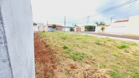 imagem 5 - Terreno de 200m² para venda - Jardim Santa Paula em Sertãozinho imagem 5 - Terreno de 200m² para venda - Jardim Santa Paula em Sertãozinho