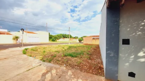 imagem 3 - Terreno de 200m² para venda - Jardim Santa Paula em Sertãozinho imagem 3 - Terreno de 200m² para venda - Jardim Santa Paula em Sertãozinho