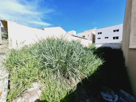 imagem 1 - Terreno de 250m² à venda - Jardim Botânico imagem 1 - Terreno de 250m² à venda - Jardim Botânico