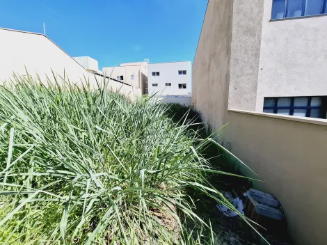 imagem 3 - Terreno de 250m² à venda - Jardim Botânico imagem 3 - Terreno de 250m² à venda - Jardim Botânico