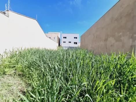 imagem 4 - Terreno de 250m² à venda - Jardim Botânico imagem 4 - Terreno de 250m² à venda - Jardim Botânico