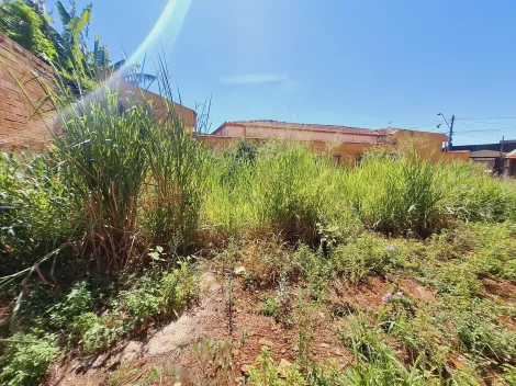 imagem 1 - Terreno residencial 250m², pronto para construção no bairro Monte Alegre imagem 1 - Terreno residencial 250m², pronto para construção no bairro Monte Alegre