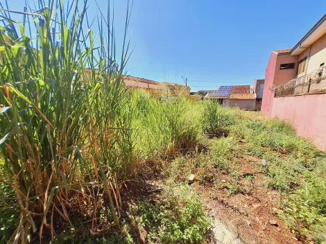 imagem 2 - Terreno residencial 250m², pronto para construção no bairro Monte Alegre imagem 2 - Terreno residencial 250m², pronto para construção no bairro Monte Alegre