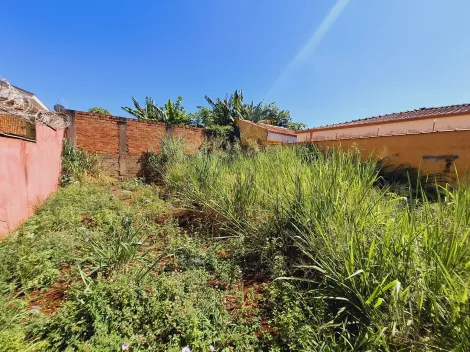 imagem 3 - Terreno residencial 250m², pronto para construção no bairro Monte Alegre imagem 3 - Terreno residencial 250m², pronto para construção no bairro Monte Alegre