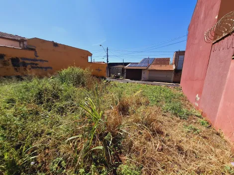 imagem 4 - Terreno residencial 250m², pronto para construção no bairro Monte Alegre imagem 4 - Terreno residencial 250m², pronto para construção no bairro Monte Alegre