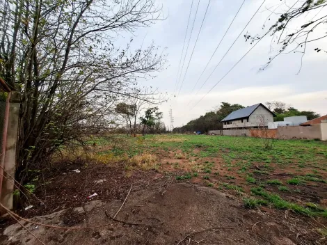 imagem 2 - Terreno de 2.978m² à venda - Jardim Ouro Branco imagem 2 - Terreno de 2.978m² à venda - Jardim Ouro Branco