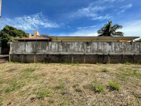imagem 5 - Terreno de 250m² à venda - Bonfim Paulista imagem 5 - Terreno de 250m² à venda - Bonfim Paulista