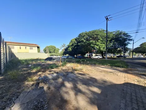 imagem 1 - Terreno comercial de 423m² para locação - Alto da Boa Vista imagem 1 - Terreno comercial de 423m² para locação - Alto da Boa Vista