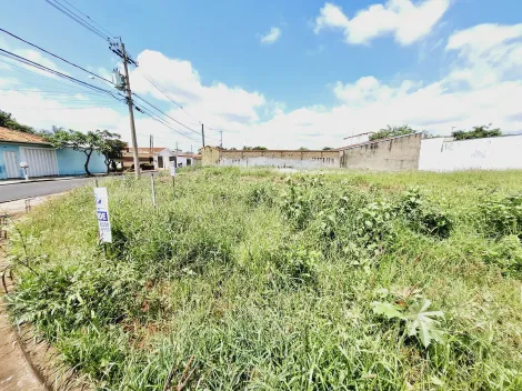 imagem 4 - Terreno de 374m² à venda - Parque Residencial Cândido Portinari imagem 4 - Terreno de 374m² à venda - Parque Residencial Cândido Portinari