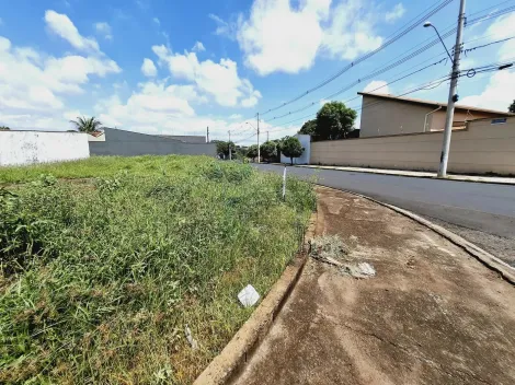 imagem 1 - Terreno de 374m² à venda - Parque Residencial Cândido Portinari imagem 1 - Terreno de 374m² à venda - Parque Residencial Cândido Portinari
