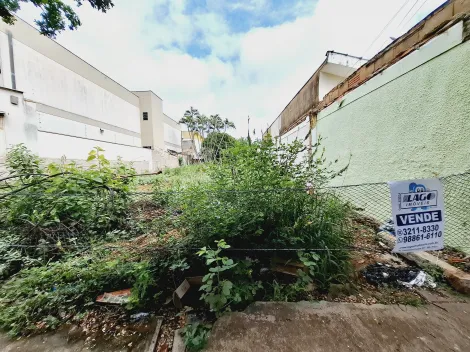 imagem 2 - Terreno de 346m² para locação e venda - Jardim Irajá imagem 2 - Terreno de 346m² para locação e venda - Jardim Irajá