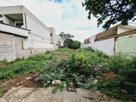 imagem 4 - Terreno de 346m² para locação e venda - Jardim Irajá imagem 4 - Terreno de 346m² para locação e venda - Jardim Irajá