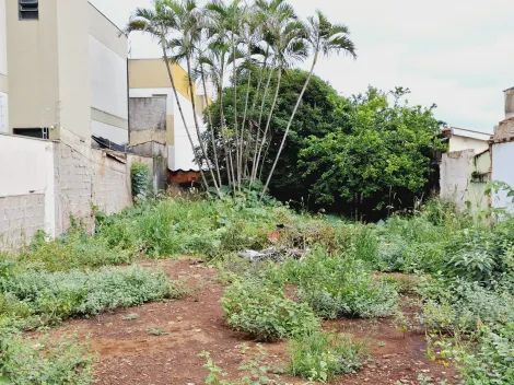 imagem 5 - Terreno de 346m² para locação e venda - Jardim Irajá imagem 5 - Terreno de 346m² para locação e venda - Jardim Irajá