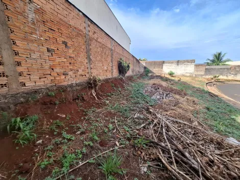 imagem 3 - Terreno de 218m² à venda em condomínio - Sumarezinho imagem 3 - Terreno de 218m² à venda em condomínio - Sumarezinho