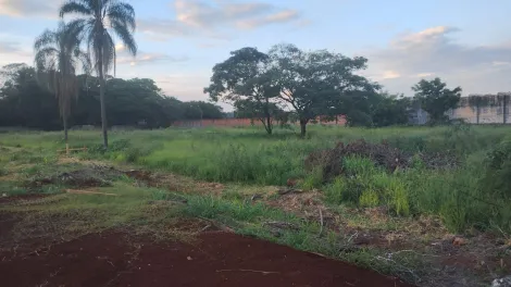 imagem 1 - Terreno amplo de 4.158m² para locação - Parque Industrial Lagoinha imagem 1 - Terreno amplo de 4.158m² para locação - Parque Industrial Lagoinha