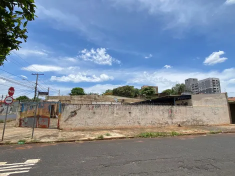 imagem 2 - Terreno misto de 312m² à venda - Sumarezinho imagem 2 - Terreno misto de 312m² à venda - Sumarezinho