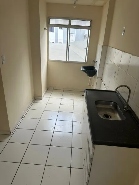 imagem 3 - Apartamento de 42m² com 02 quartos para locação - Ribeirão Verde imagem 3 - Apartamento de 42m² com 02 quartos para locação - Ribeirão Verde