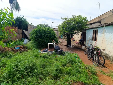 imagem 5 - Terreno de 428m² à venda - Centro em Sertãozinho imagem 5 - Terreno de 428m² à venda - Centro em Sertãozinho