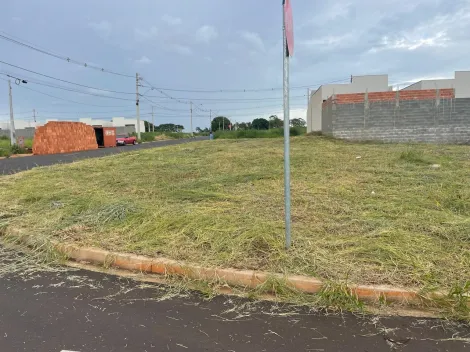 imagem 1 - Terreno de esquina com 204m² à venda - Jardim Regatas imagem 1 - Terreno de esquina com 204m² à venda - Jardim Regatas