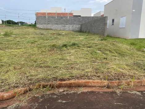 imagem 3 - Terreno de esquina com 204m² à venda - Jardim Regatas imagem 3 - Terreno de esquina com 204m² à venda - Jardim Regatas