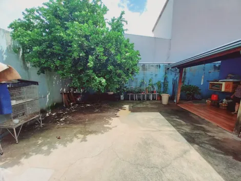 imagem 1 - Casa - Padrão imagem 1 - Casa - Padrão