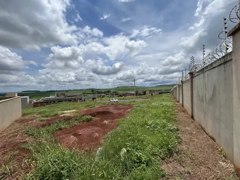 imagem 5 - Terreno de 441m² à venda em condomínio - Quinta da Mata imagem 5 - Terreno de 441m² à venda em condomínio - Quinta da Mata