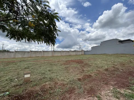 imagem 3 - Terreno de 250m² à venda em condomínio - Quinta da Mata imagem 3 - Terreno de 250m² à venda em condomínio - Quinta da Mata