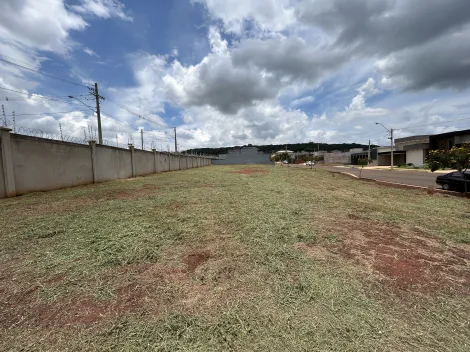 imagem 4 - Terreno de 257m² à venda em condomínio - Quinta da Mata imagem 4 - Terreno de 257m² à venda em condomínio - Quinta da Mata