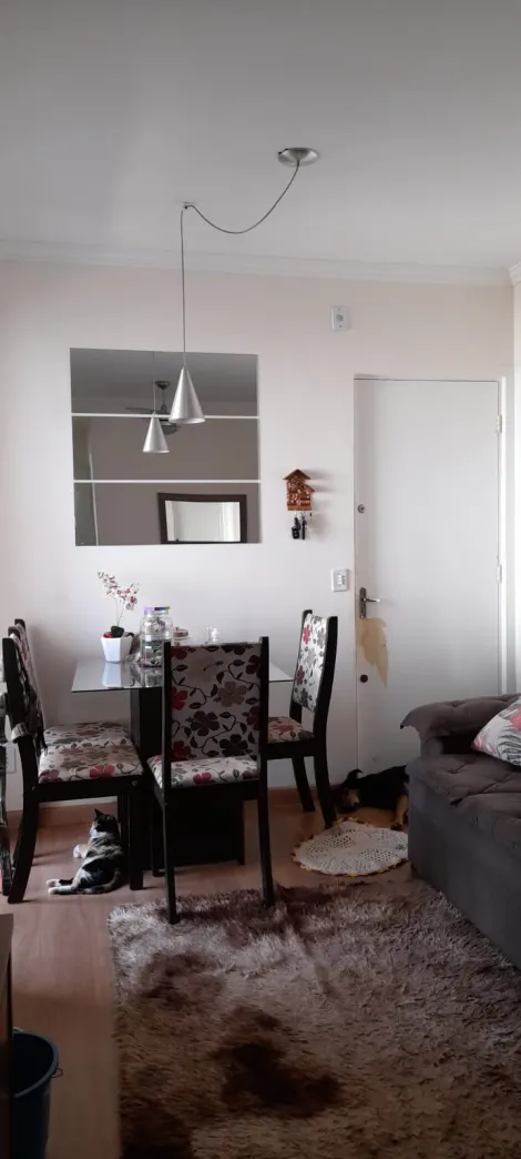 imagem 1 - Apartamento de 48m² com 02 quartos à venda - Geraldo Correia de Carvalho imagem 1 - Apartamento de 48m² com 02 quartos à venda - Geraldo Correia de Carvalho