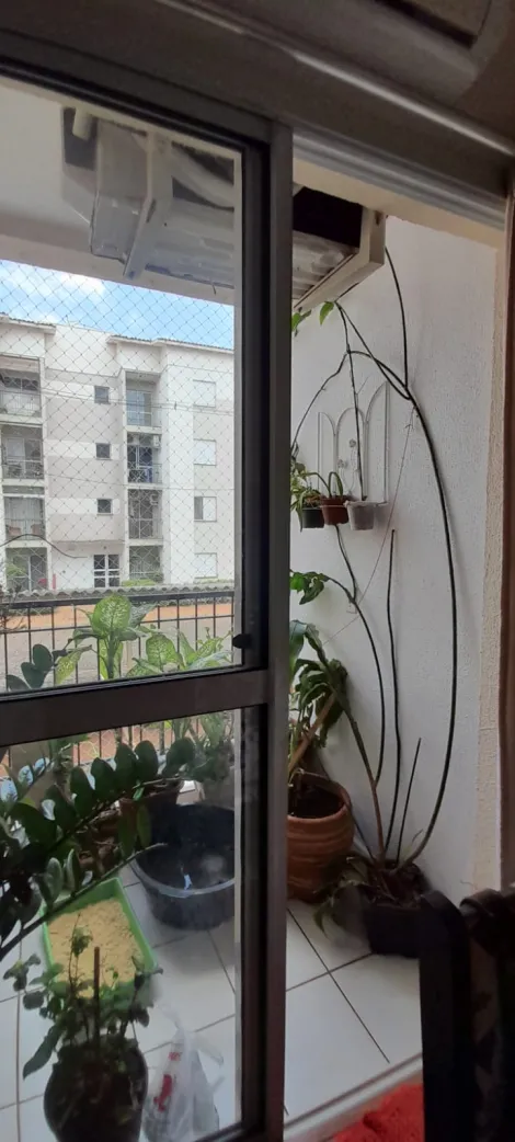 imagem 2 - Apartamento de 48m² com 02 quartos à venda - Geraldo Correia de Carvalho imagem 2 - Apartamento de 48m² com 02 quartos à venda - Geraldo Correia de Carvalho