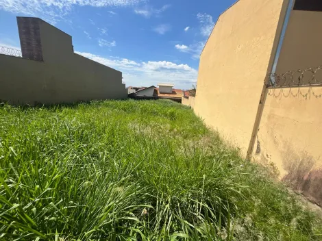 imagem 1 - Terreno murado de 445m² à venda - Vila Monte Alegre imagem 1 - Terreno murado de 445m² à venda - Vila Monte Alegre