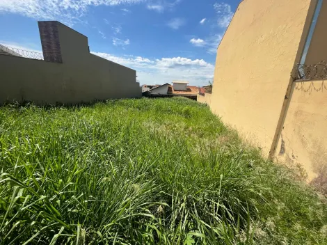 imagem 2 - Terreno murado de 445m² à venda - Vila Monte Alegre imagem 2 - Terreno murado de 445m² à venda - Vila Monte Alegre
