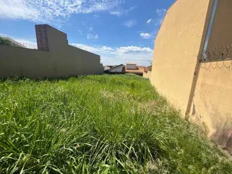 imagem 5 - Terreno murado de 445m² à venda - Vila Monte Alegre imagem 5 - Terreno murado de 445m² à venda - Vila Monte Alegre