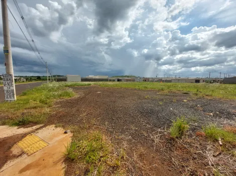 imagem 3 - Terreno comercial de 2.646m² à venda - Santa Iria imagem 3 - Terreno comercial de 2.646m² à venda - Santa Iria