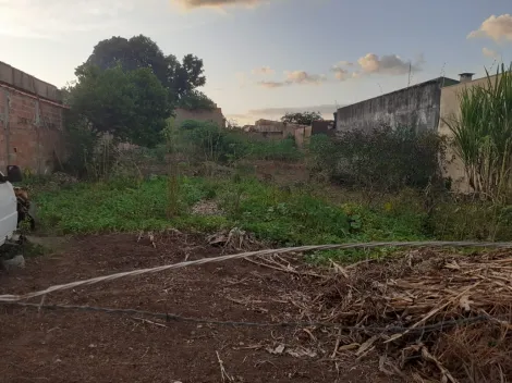 imagem 4 - Terreno de 623m² à venda - Jardim Salgado Filho imagem 4 - Terreno de 623m² à venda - Jardim Salgado Filho