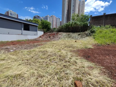 imagem 2 - Terreno de 250m² à venda - Jardim Botânico imagem 2 - Terreno de 250m² à venda - Jardim Botânico