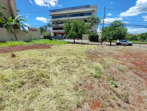 imagem 3 - Terreno de 250m² à venda - Jardim Botânico imagem 3 - Terreno de 250m² à venda - Jardim Botânico