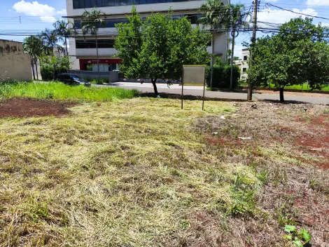 imagem 4 - Terreno de 250m² à venda - Jardim Botânico imagem 4 - Terreno de 250m² à venda - Jardim Botânico